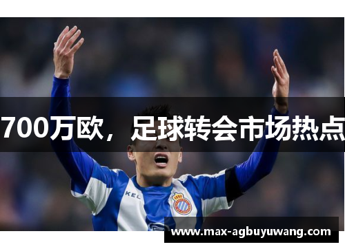 700万欧，足球转会市场热点